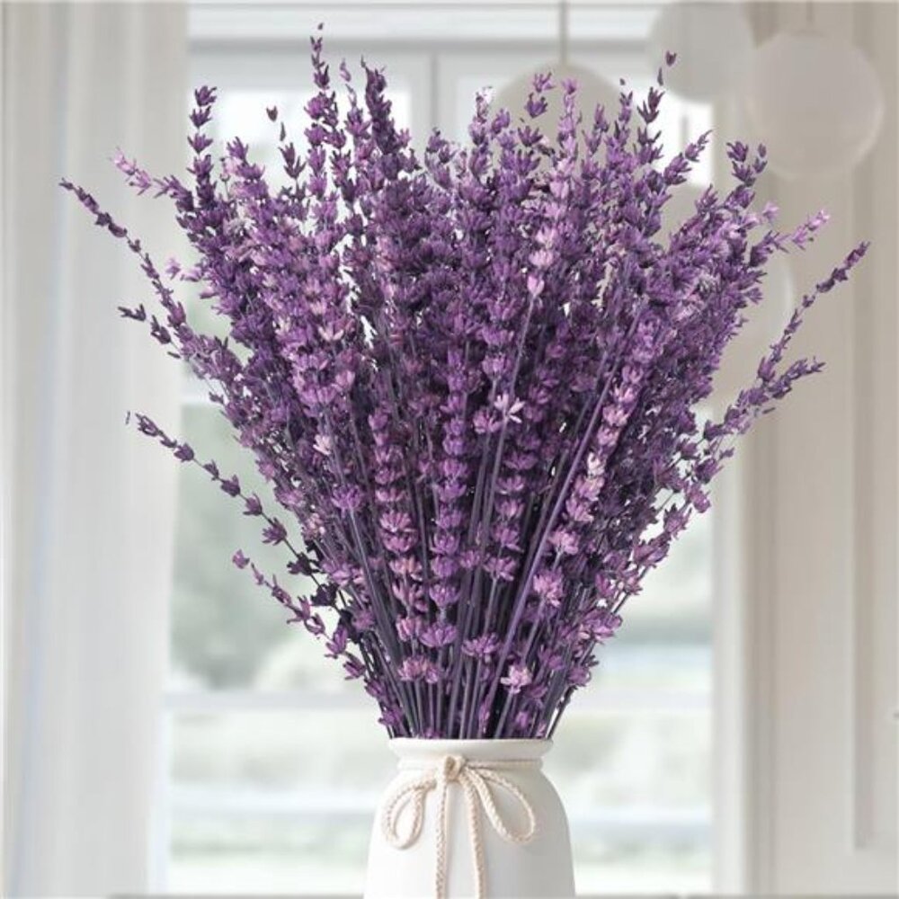 Dried Purple Lavender Flowers Bundle-Dried Preserved Lavender Bouquet 15-17"